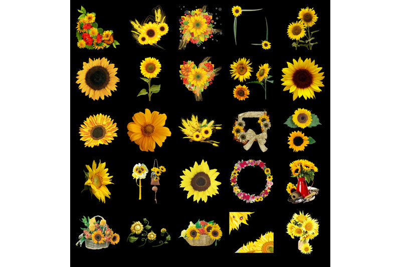200-sunflowers-transparent-png-photoshop-overlays-backgrounds