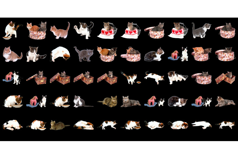 300-cats-transparent-png-animals-photoshop-overlays-backgrounds