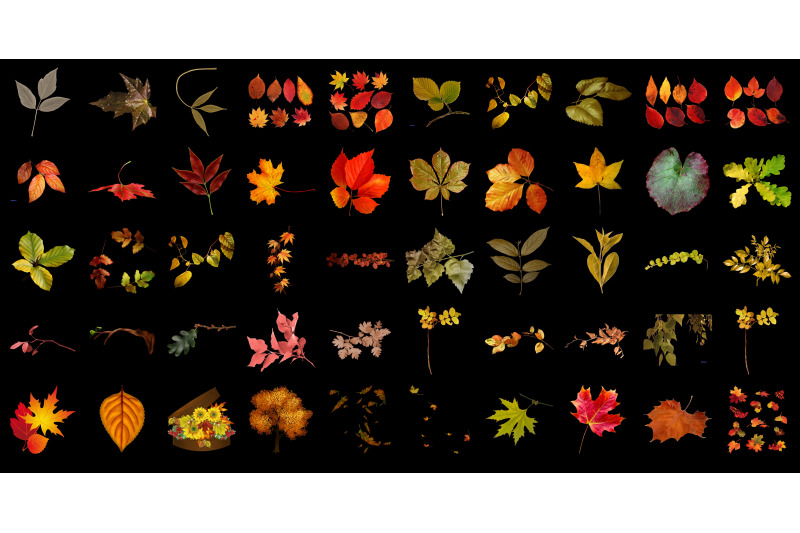 400-autumn-leaves-transparent-png-photoshop-overlays-backgrounds