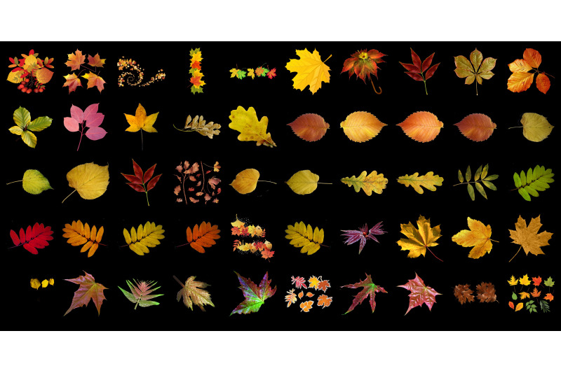 400-autumn-leaves-transparent-png-photoshop-overlays-backgrounds