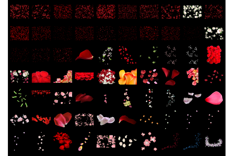500-flower-petals-transparent-png-photoshop-overlays-backgrounds
