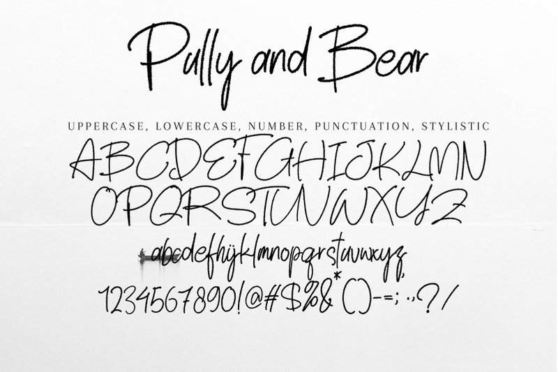 pully-and-bear