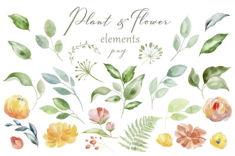 flower-garden-watercolor-flower-set