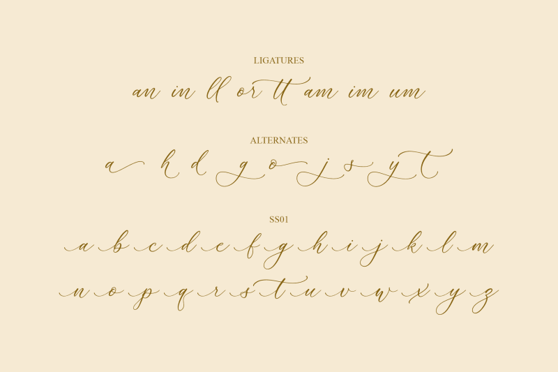 rumaysa-chambert-luxury-script