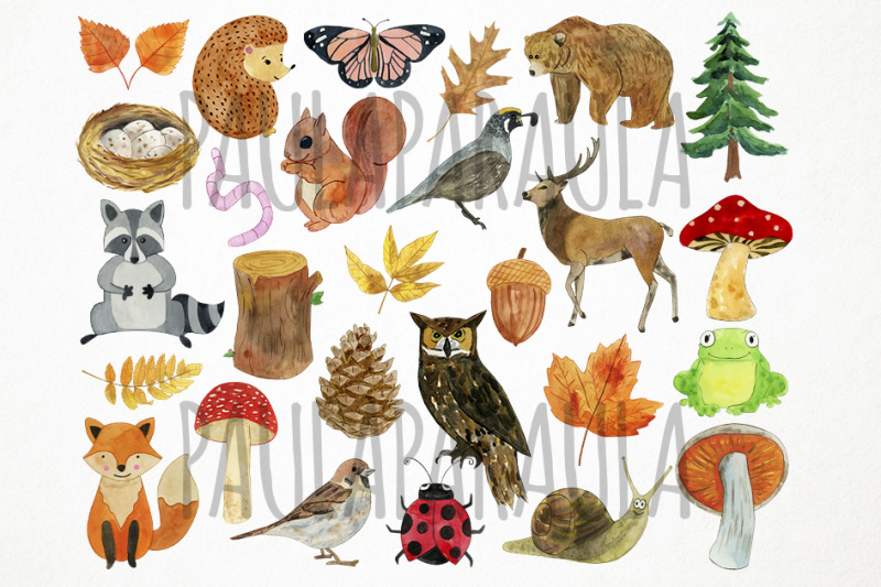 watercolor-woodland-clipart-forest-clipart-woodland-animals-clipart