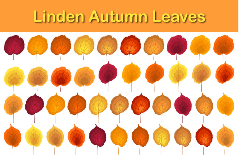 autumn-linden-leaf