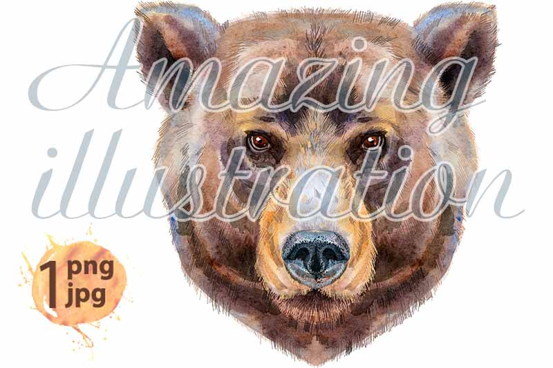 bear-head-watercolor-bear-painting-illustration-isolated-nbsp