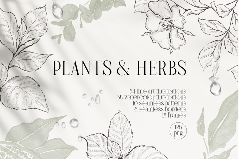 plants-amp-herbs-illustrations-set