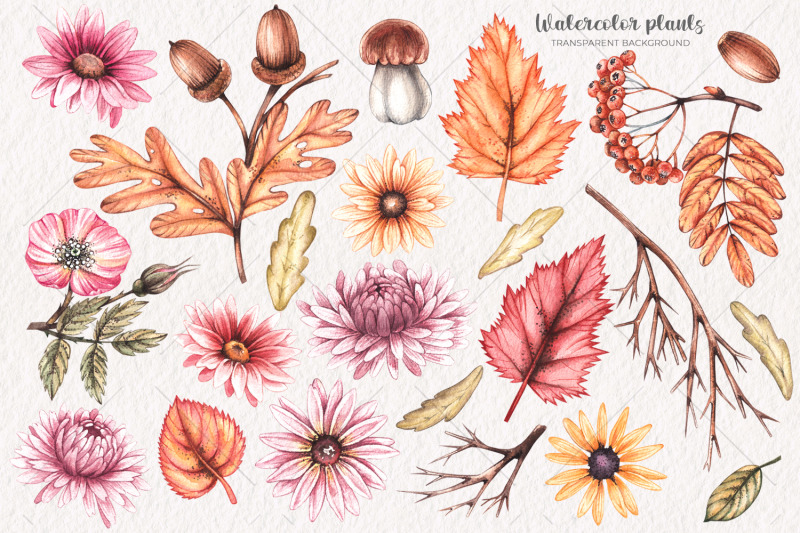 watercolor-autumn-plants-clipart-png