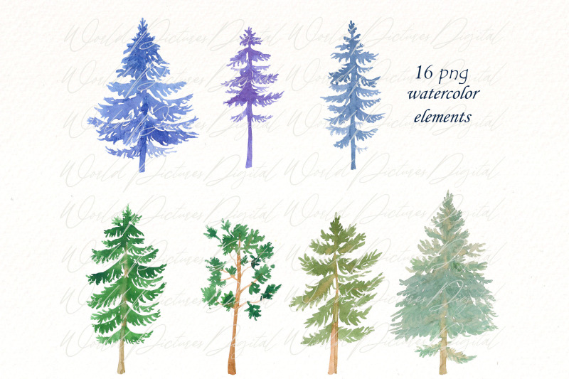 watercolor-christmas-tree-clipart-winter-pine-trees-forest-png