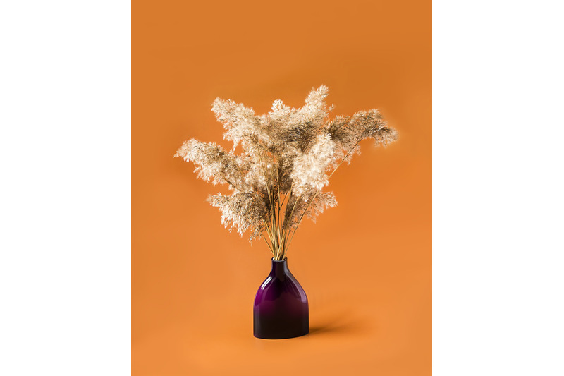 dry-reeds-in-a-vase