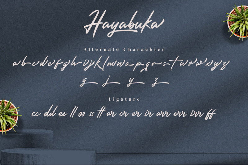 hayabuka-signature-font