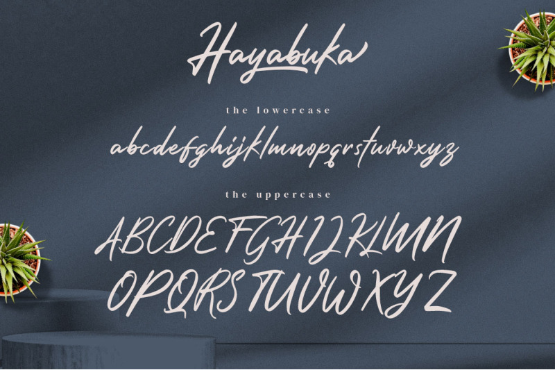 hayabuka-signature-font
