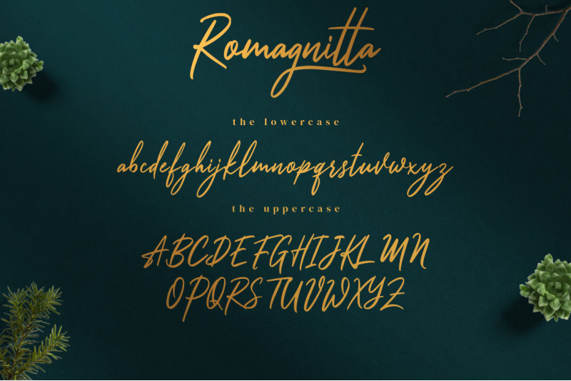 romagnitta-signature-font