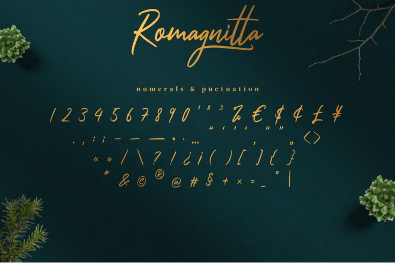 romagnitta-signature-font