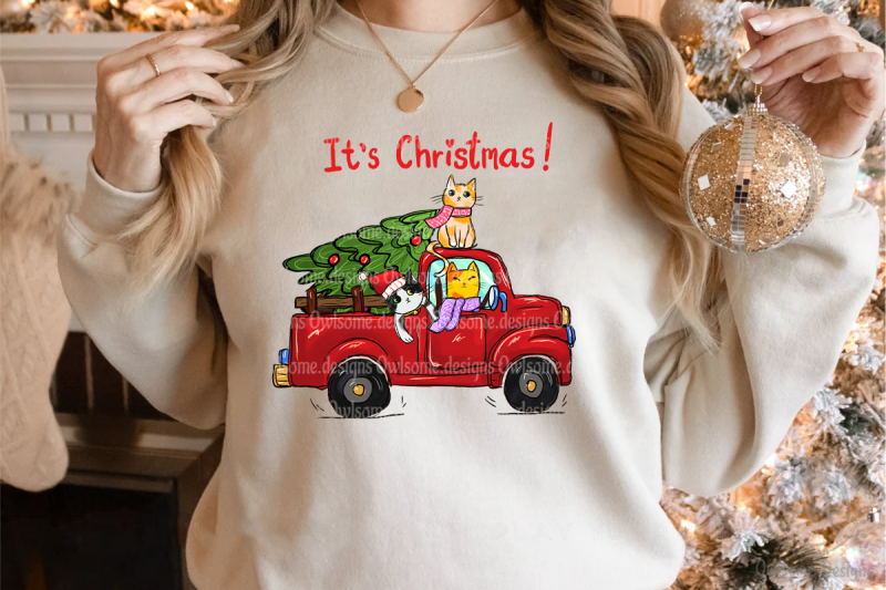 funny-christmas-cat-sublimation