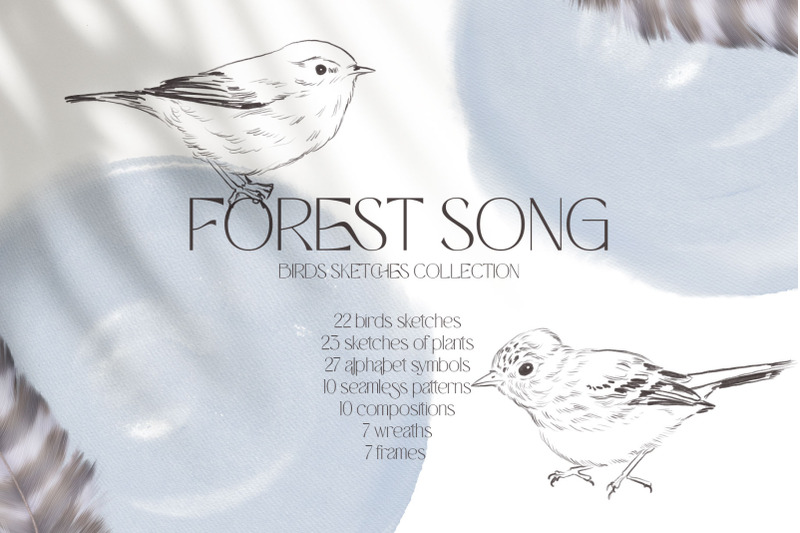 forest-song-birds-sketches