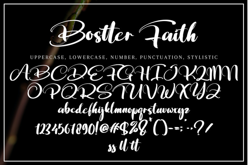 bostter-faith