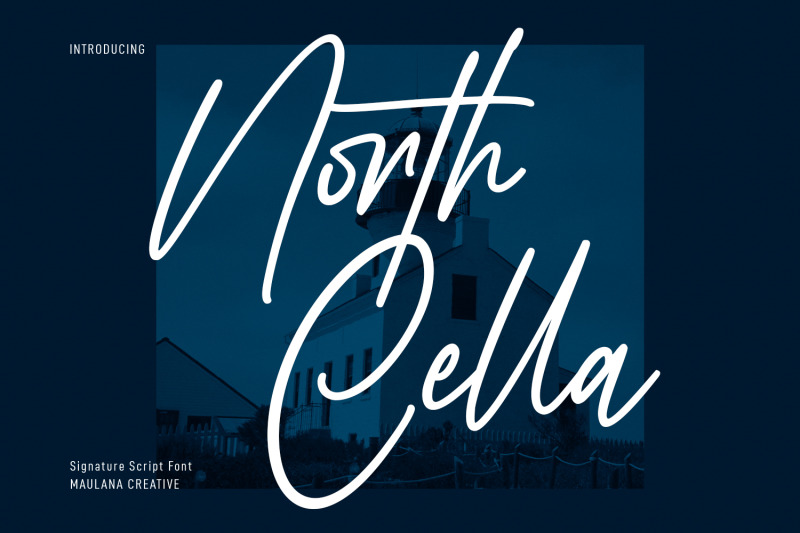 north-cella-signature-script-font