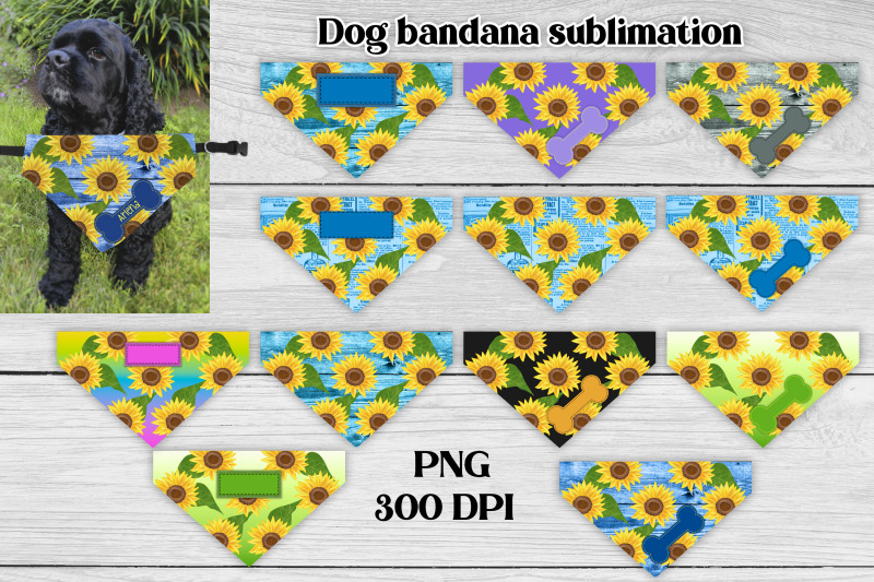 dog-bandana-sublimation-sunflower-dog-bandana-bundle