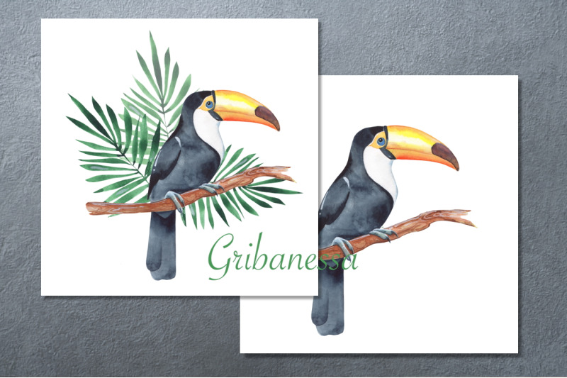 watercolor-toucan-bird-and-seamless-patterns