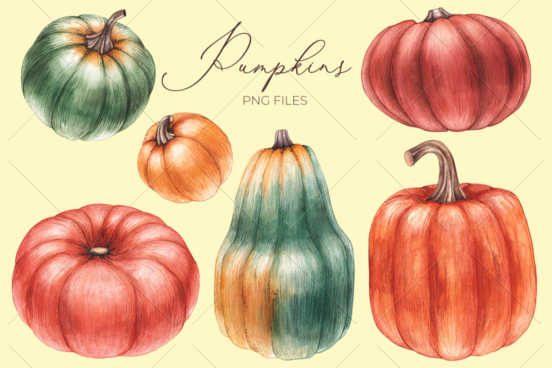watercolor-clipart-bright-autumn-png