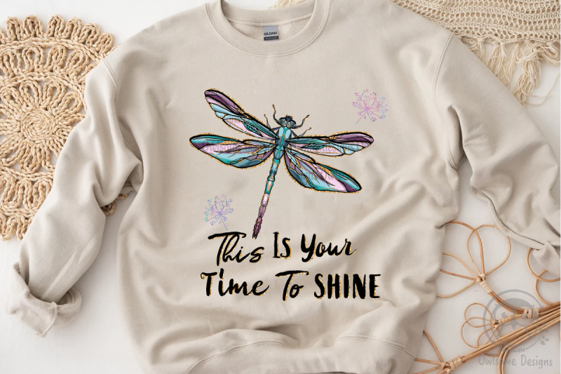 this-is-your-time-to-shine-dragonfly-png