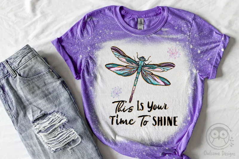 this-is-your-time-to-shine-dragonfly-png