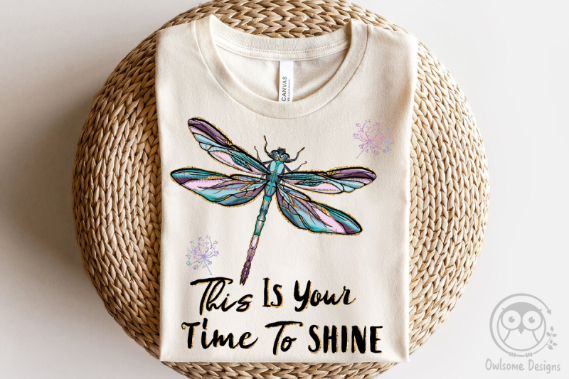 this-is-your-time-to-shine-dragonfly-png