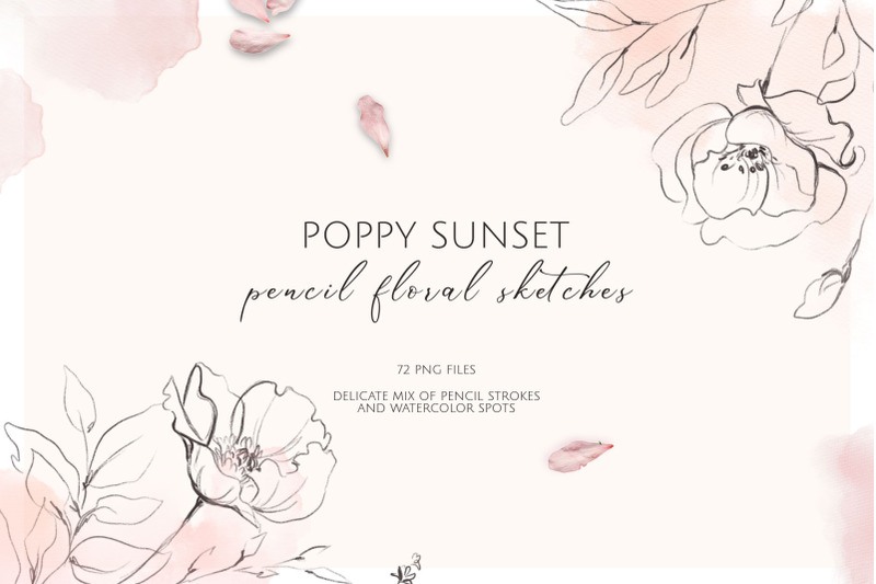 poppy-sunset-pencil-floral-sketches