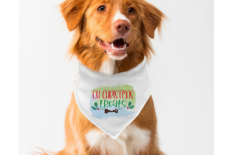 christmas-dog-bandana-sublimation-designs-bundle-6-designs