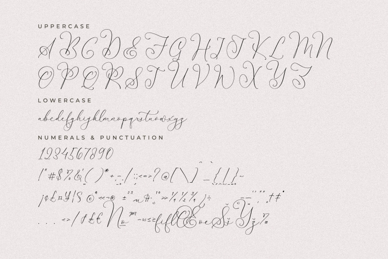 senorytta-chic-calligraphy-font