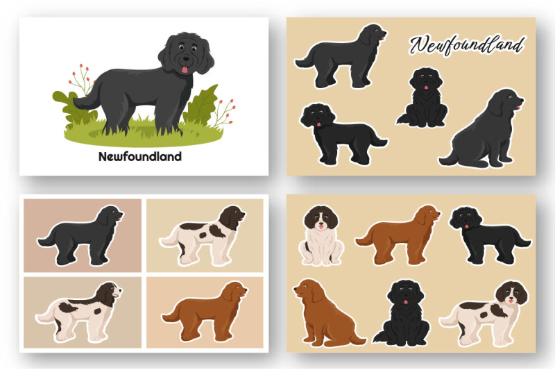 12-newfoundland-dog-illustration