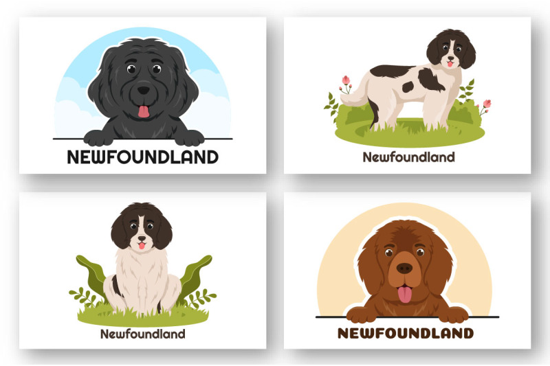 12-newfoundland-dog-illustration