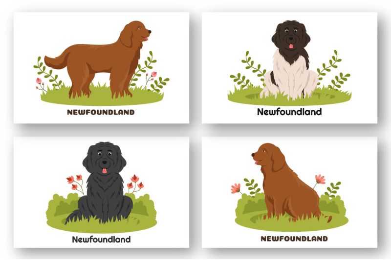 12-newfoundland-dog-illustration