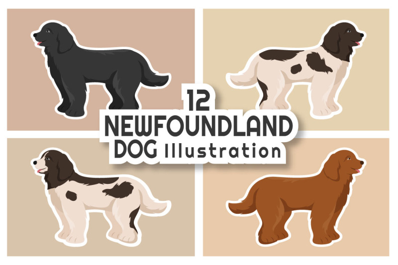 12-newfoundland-dog-illustration