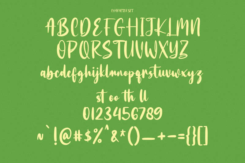 bottairs-script-font