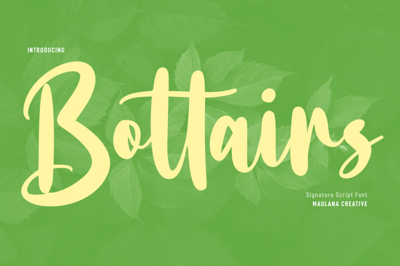 bottairs-script-font