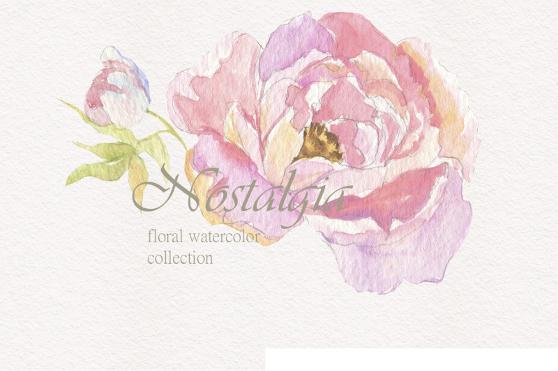 nostalgia-floral-watercolor-collection