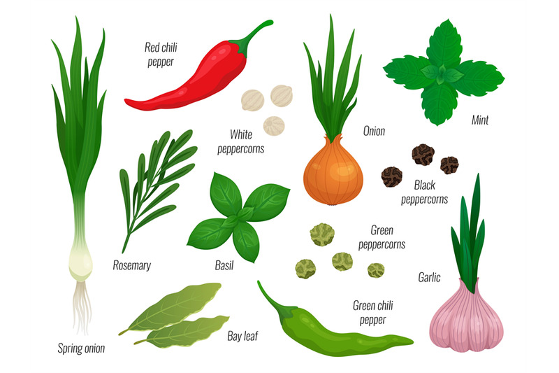 cartoon-spices-set-onion-chili-peppers-green-herbs-and-basil-orient