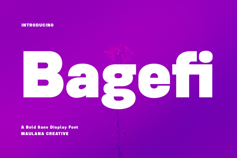 bagefi-sans-serif-display-font