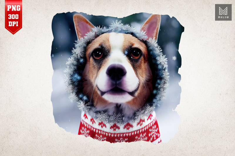 happy-christmas-dog-in-sweater