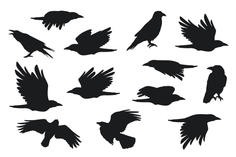 crow-silhouette-group-of-flying-ravens-with-feathers-beak-claw-creat