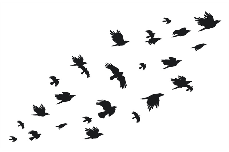 flock-of-crows-flying-black-birds-in-sky-monochrome-flutter-raven-sil