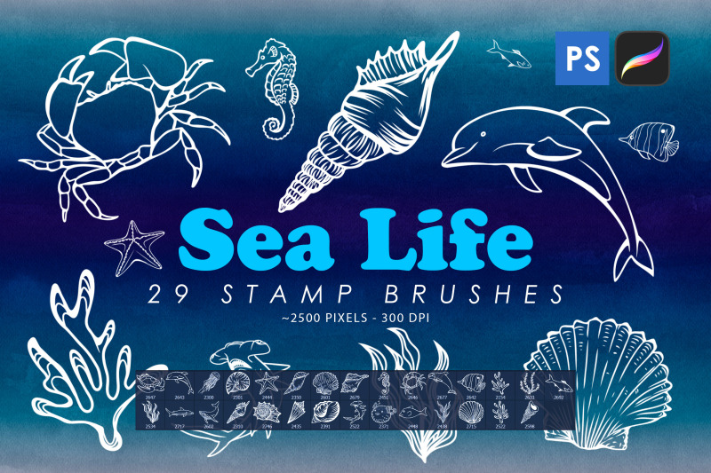 sea-life-stamp-brushes