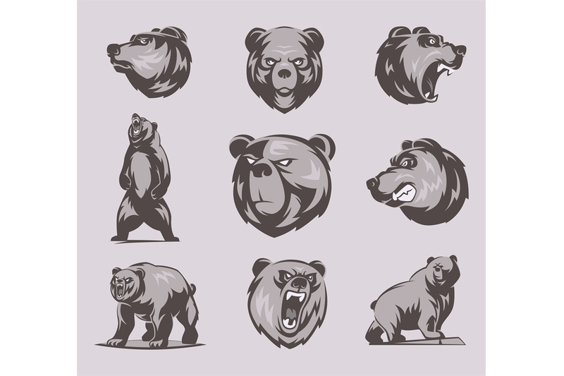 wild-grizzly-black-illustrations-of-animals-bear-in-action-poses-exac