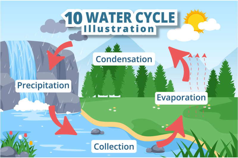 10-water-cycle-earth-illustration