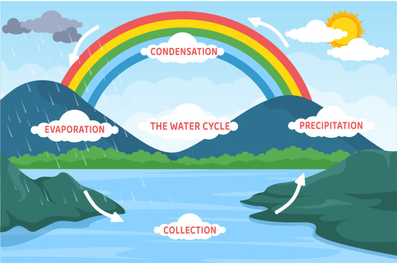 10-water-cycle-earth-illustration