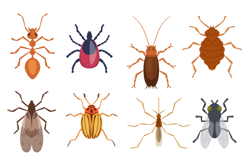 harmful-insects-pests-ants-centipedes-roaches-bugs-sprayers-exact-vec