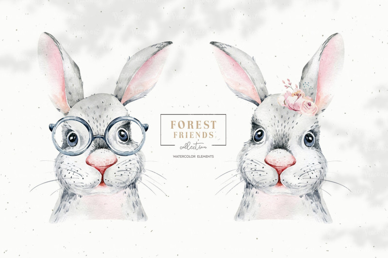 watercolor-baby-bunny-woodland-portrait-clipart-digital-bunnies-png
